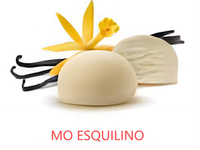 Mochi Gelato alla Vaniglia 1 Pezzo