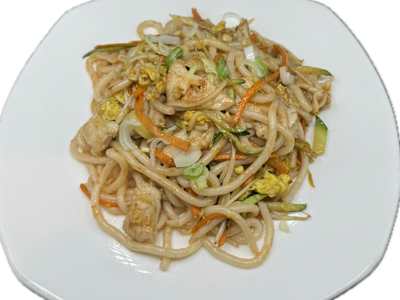 Spaghetti Udon con Pollo