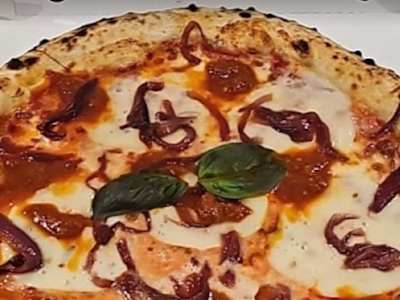 Calabrisella