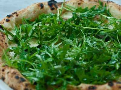 Rucola