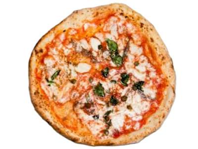 Napoletana