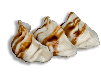 Gyoza con Pollo e Verdure
