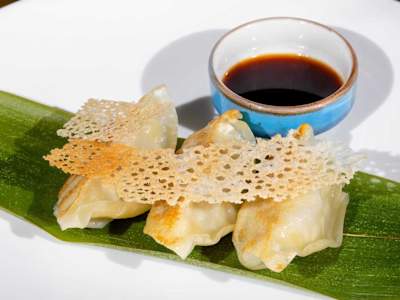 33. Gyoza Tori