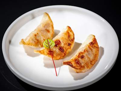 Gyoza alla Piastra
