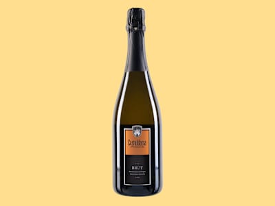 Franciacorta Brut Casteldama