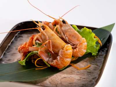 Sashimi Scampi