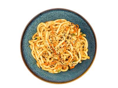 Tori Udon