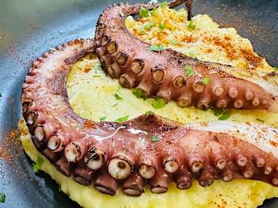 Polpo grigliato