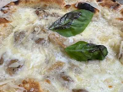 Ai Funghi Porcini