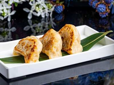 Gyoza Yaki