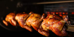 Tío Pollo
