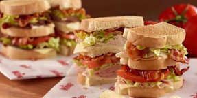 Detroid Sandwich Sonic