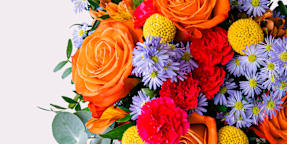 Floristería Casamitjana