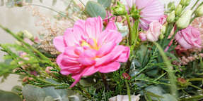 Amborella Floristería Montecarmelo