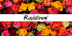 Rosistirem