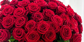 Floristería Magno Roses