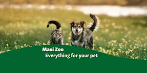 Maxi Zoo Galway