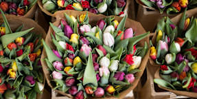 La Casetta dei Fiori