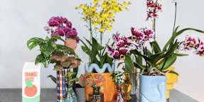 La Cucina dei Fiori