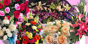 Bapari Fiori
