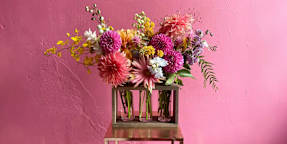 Haque Didarul Flowers