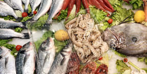 80 Voglia di Pesce