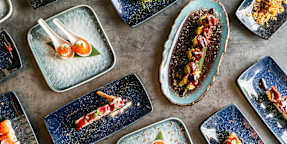 Ristorante Giapponese Levante