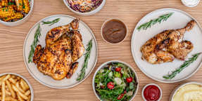 Chooks