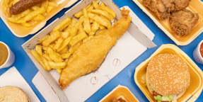 Mr Cod