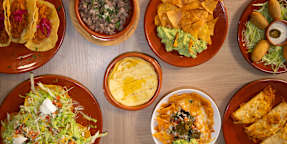 Kactus Mexicana