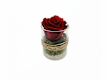Blumen