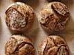 Organic Bread Family