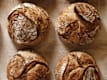 Bio Brotfamilie