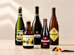 Speciality Beers