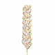Chocolade