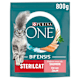 Dieren