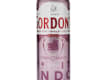 Gin