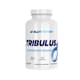 Testosterone and Growth Hormone