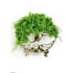 Scandinavian Moss Paintings