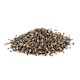 Seeds