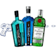 Gin
