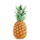 Fresh Fruit