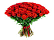 Cut Flowers