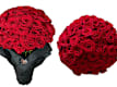 Pre-Orders Only: 2 to 5h