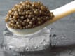 Emporio Caviar Premium