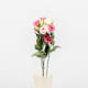 Schnittblumen – Lisianthus