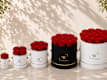 Infinity Rose Box Red