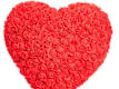 ROSAS