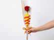 Sant Jordi