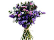 Flores frescas